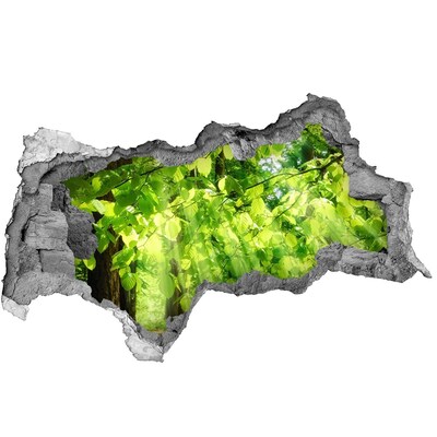 Nálepka fototapeta 3D výhľad Zelený les v slnečných lúčoch