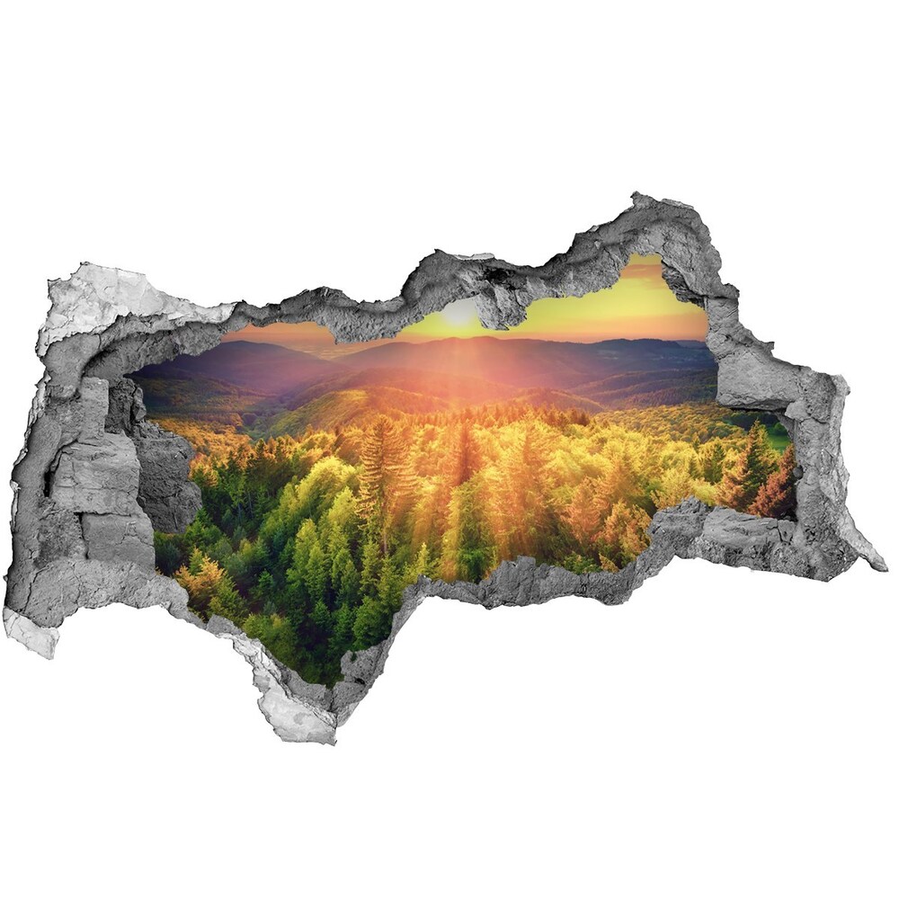 Nálepka fototapeta 3D Forest sunset