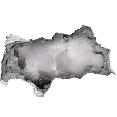 Samolepiaca diera nálepka Púpavy v betóne