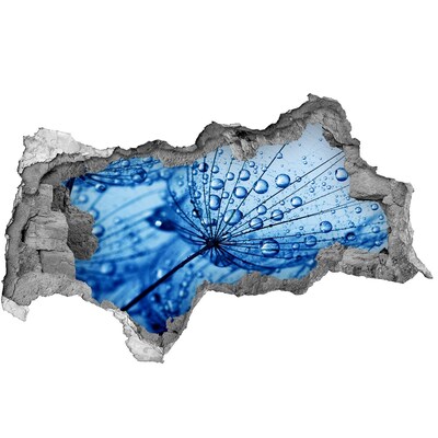 Samolepiaca diera nálepka Kvapky vody na jemnom kvete