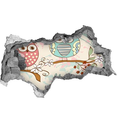 Fototapeta diera na stenu Sova v diere v stene