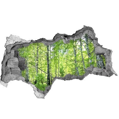 Samolepiaca diera nálepka Zelený les na slnku