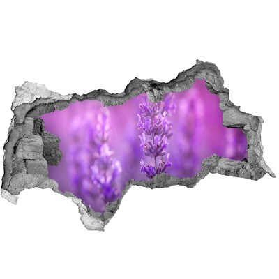 Samolepiaca diera nálepka betón Levanduľové kvety v rannom svetle