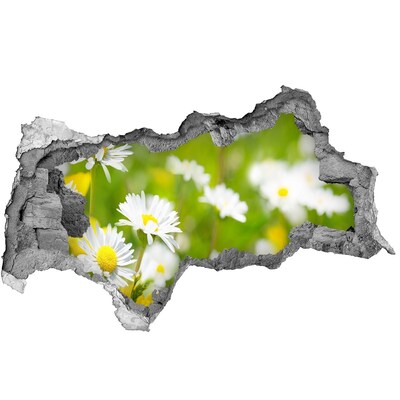 Samolepiaca diera nálepka Kvetinový raj za múrmi