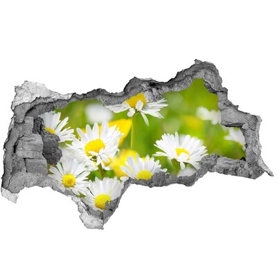 Samolepiaca diera nálepka Kvety na lúke