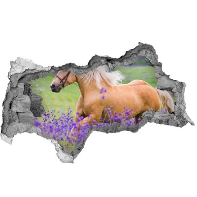 Diera 3D fototapeta Kôň v poli levandule