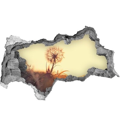 Samolepiaca diera na stenu Kvet v slnečných lúčoch