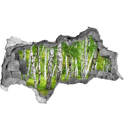 Nálepka fototapeta 3D výhľad Brezového lesa