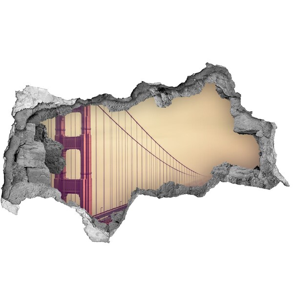 Fototapeta diera na stenu 3D Bridge v san franciscu