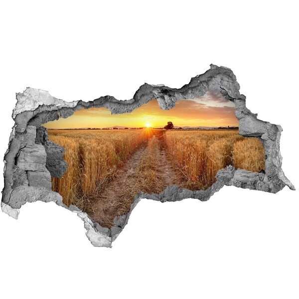 Nálepka fototapeta 3D výhľad Zlatý západ slnka nad obilným poľom