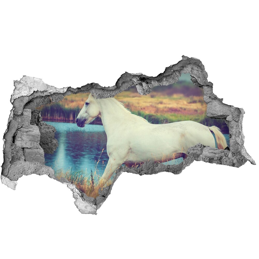 Diera 3D fototapeta nálepka White horse lake