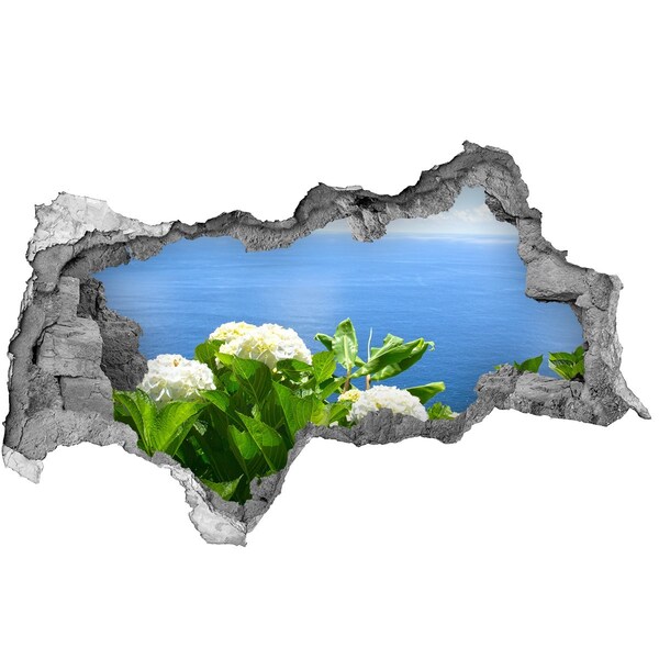 Nálepka fototapeta 3D Výhľad na more cez dieru v stene