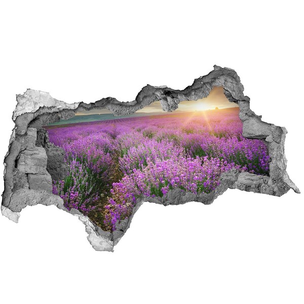 Nálepka fototapeta 3D výhľad Pole levanduľa