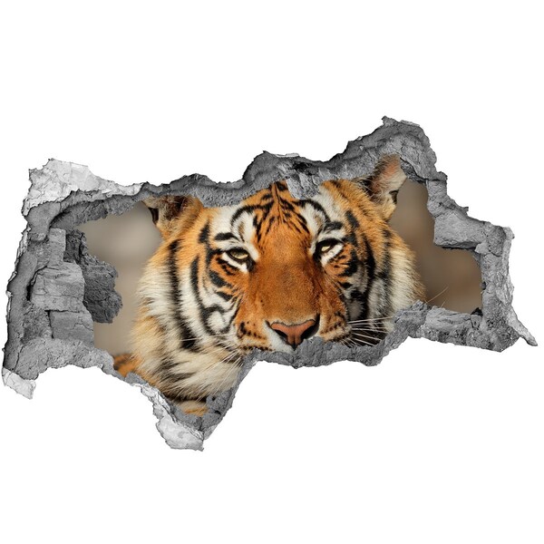 Diera 3D foto tapeta nálepka Tiger v diere v stene