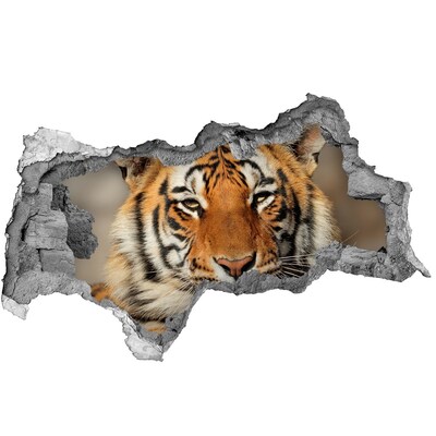 Diera 3D foto tapeta nálepka Tiger bengálsky