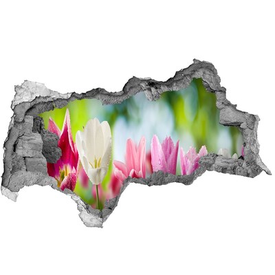 Fototapeta diera na stenu Tulipány