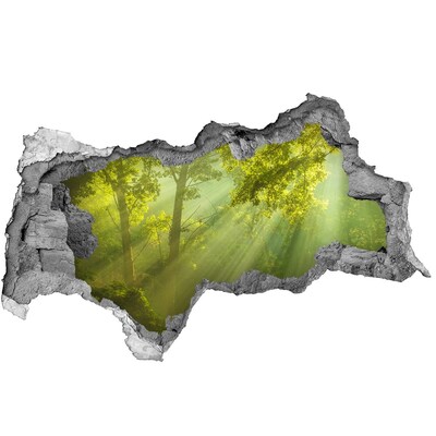 Nálepka fototapeta 3D výhľad Zelený les so slnečnými lúčmi