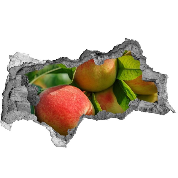 Samolepiaca nálepka betón Jabloňový sad