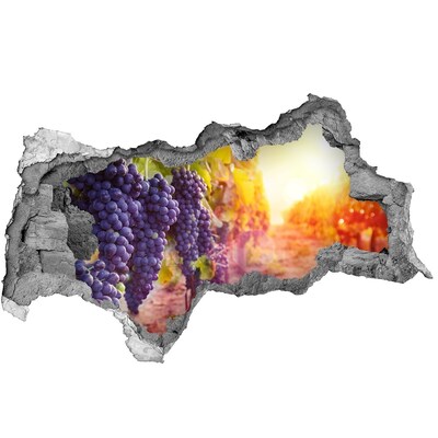 Samolepiaca nálepka betón Hroznový raj ráno