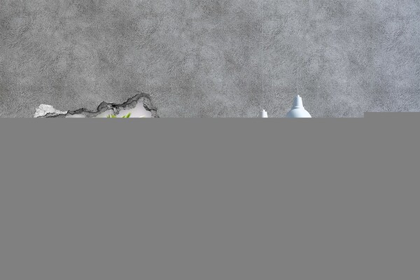 Fototapeta diera na stenu Kvetinový raj za múrom