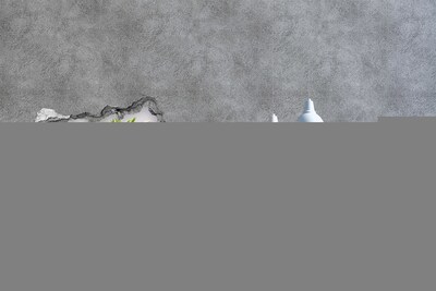 Fototapeta diera na stenu Kvetinový raj za múrom