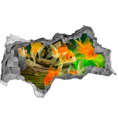 Diera 3D foto tapeta nálepka Zlatá rybka