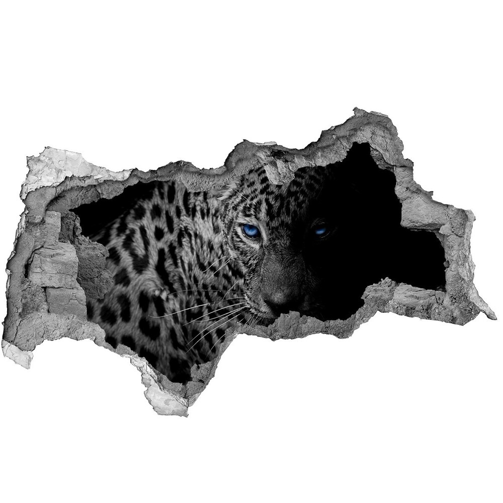 Diera 3D foto tapeta nálepka Leopard