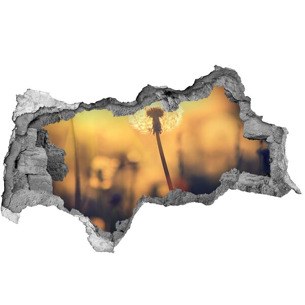 Samolepiaca diera na stenu Púpavový kvet v slnečných lúčoch