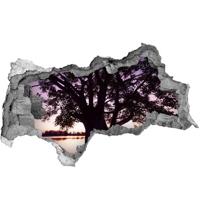 Samolepiaca diera na stenu Západ slnka za stromom