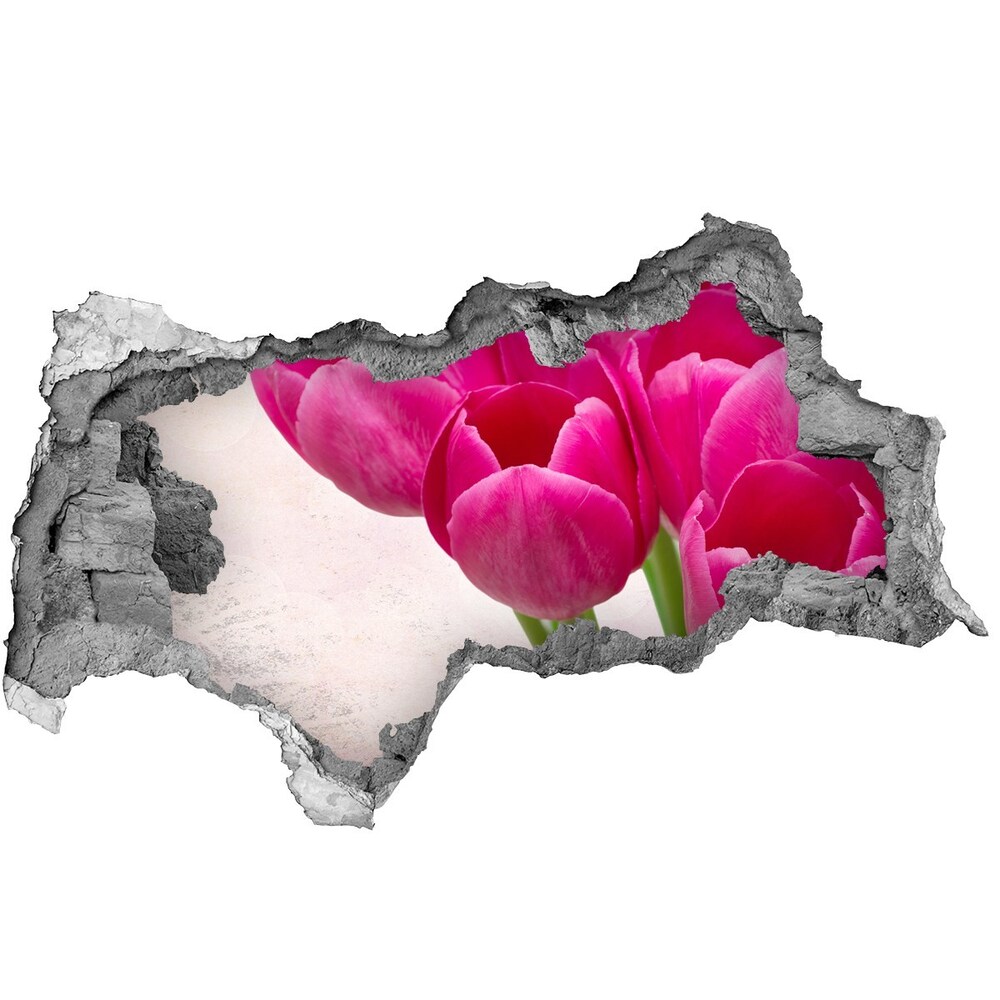 Samolepiaca diera na stenu Ružové tulipány
