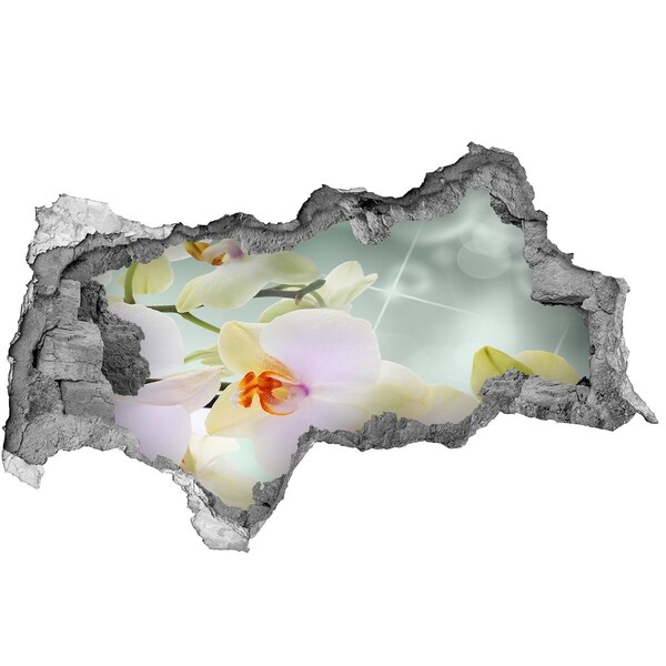 Samolepiaca diera nálepka Kvety v betóne