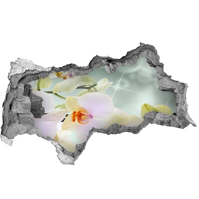 Samolepiaca diera nálepka Kvety v betóne