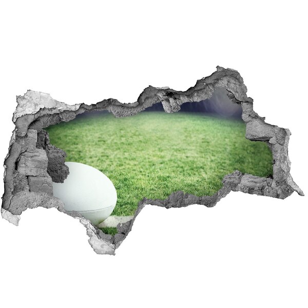 Foto fotografie diera na stenu Ragby na ihrisku