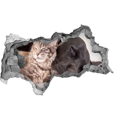 Diera 3D foto tapeta nálepka Sladká chvíľka priateľstva