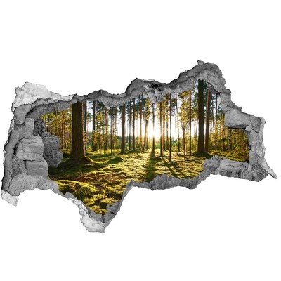 Nálepka fototapeta 3D na stenu Borovica lesná