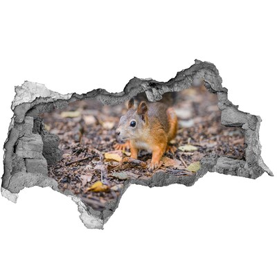 Nálepka fototapeta 3D na stenu Veverička
