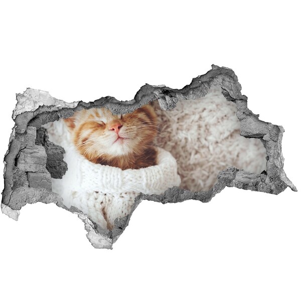 Samolepiaca nálepka betón Roztomilá mačka v svetri