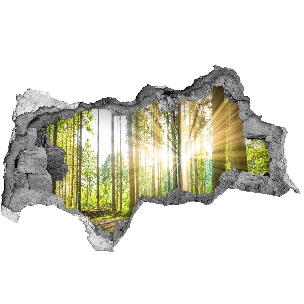 Diera 3D foto tapeta nálepka Forest na slnku