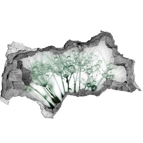 Fotoobraz diera na stenu Kvetinový sen za stenou