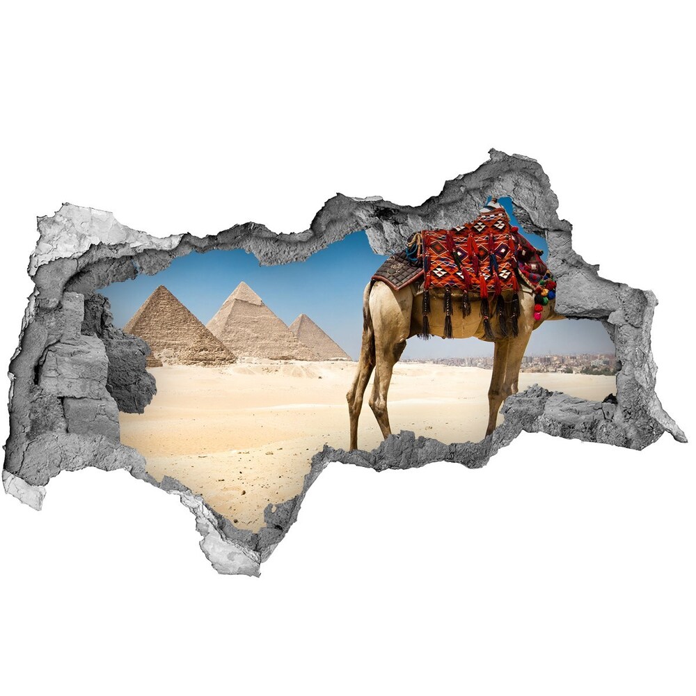 Fotoobraz diera na stenu Camel v káhire