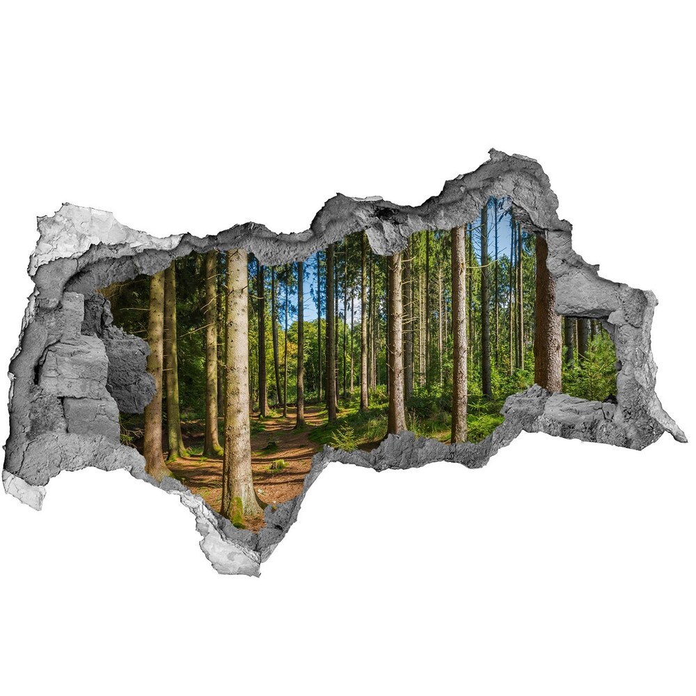 Fotoobraz diera na stenu Panorama lesné