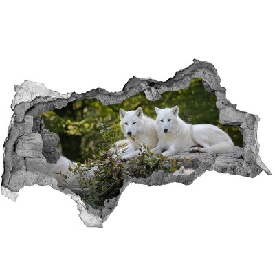 Fototapeta diera na stenu Biela skala vlci
