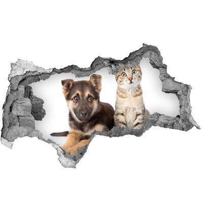 Fototapeta diera na stenu 3D Pes a mačka