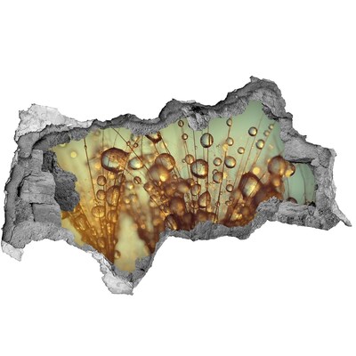 Samolepiaca diera na stenu Kvapky na jemné vlasy