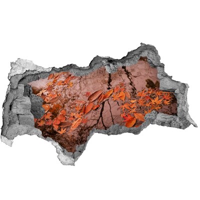 Fototapeta diera na stenu 3D Jesenná vodná hladina