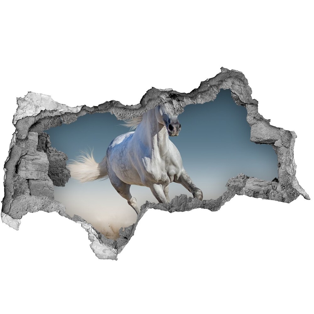 Fototapeta diera na stenu Biely kôň v trysku