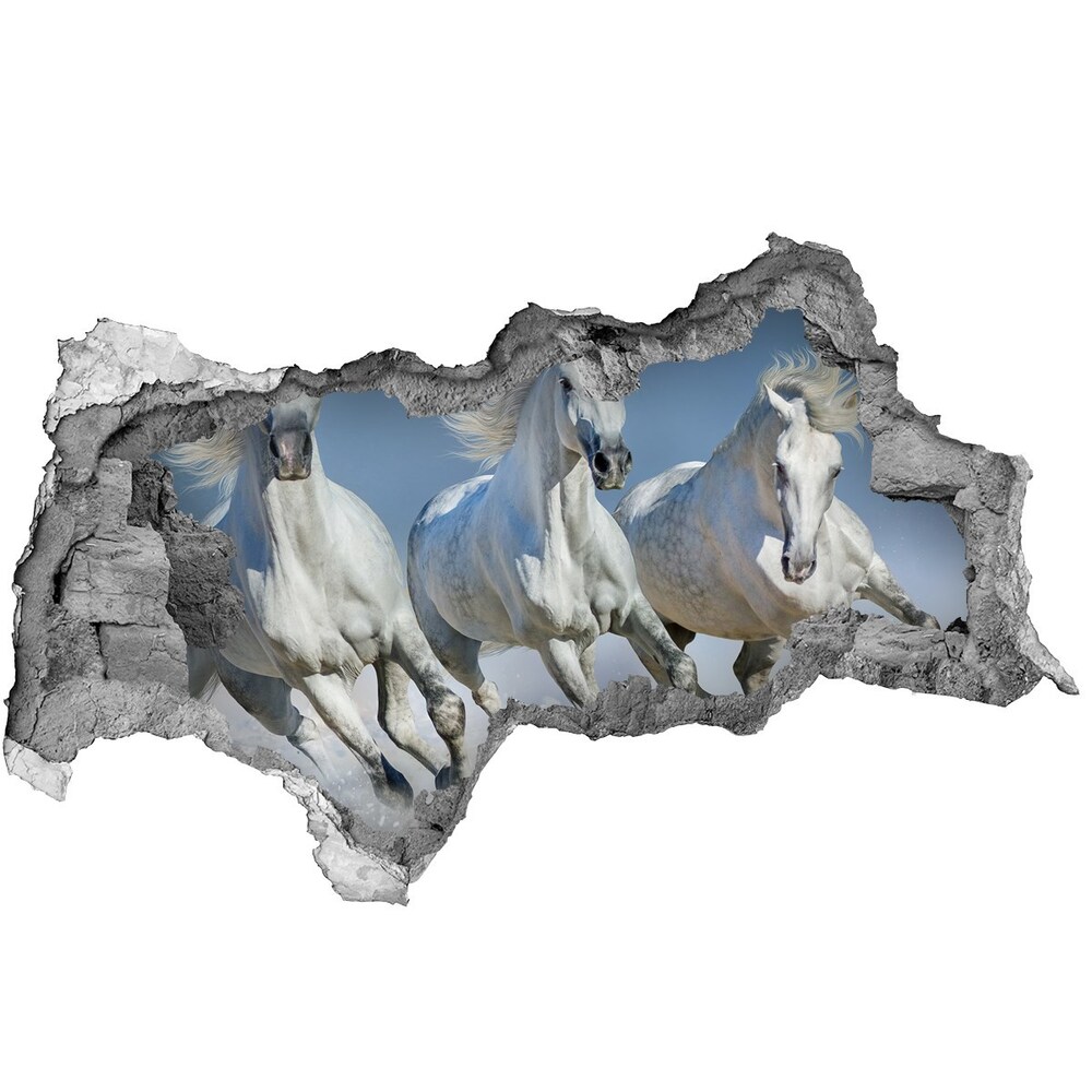 Fototapeta diera na stenu Cválajúca kone