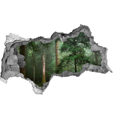 Diera 3D foto tapeta nálepka Hmla v lese