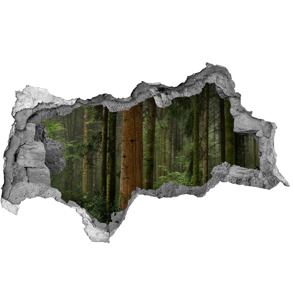 Fototapeta diera na stenu Hmla v lese