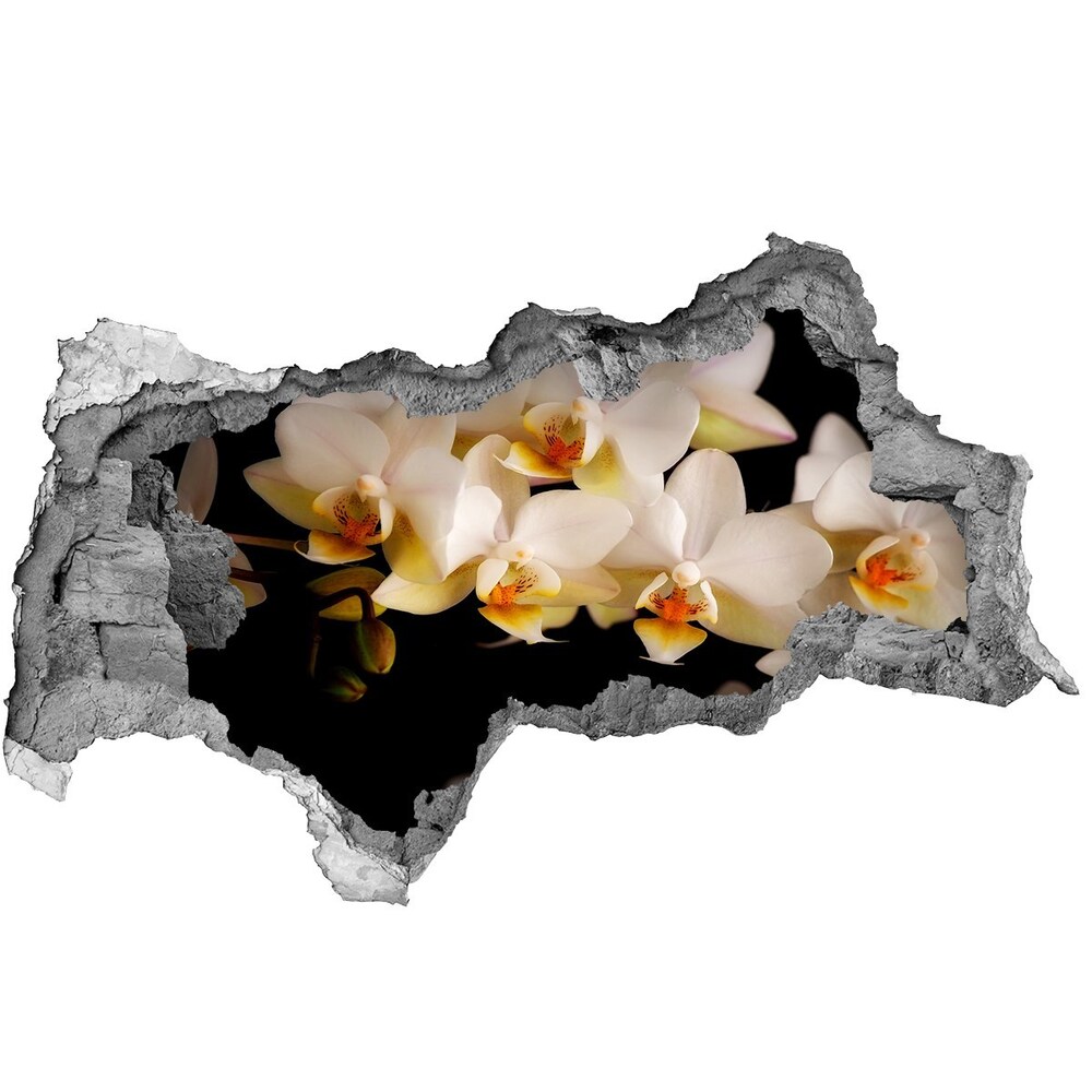 Nálepka fototapeta 3D výhľad Orchidea